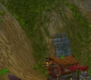 Rebel Camp