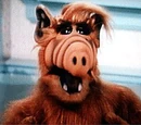ALF