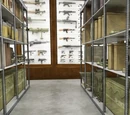Weapons