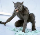 Werewolf (BBC)