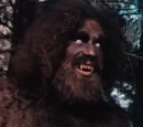 The Secret of Bigfoot