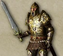 Champion of Cyrodiil