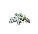 Nincada