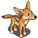 Kit Fox-icon.png
