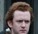Percy Weasley