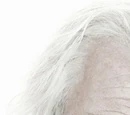 Gregorovitch