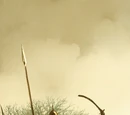 Dothraki