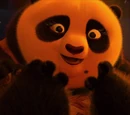 Po's mother
