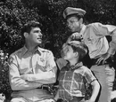 The Andy Griffith Show Characters