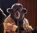 Ted Bedderhead