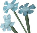 Trollweiss