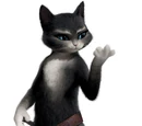 Kitty Softpaws
