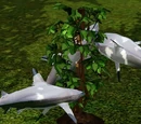 Omni plant