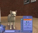 Create a Pet/The Sims 2