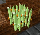 Stickreed