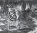 Druids of the Fang
