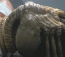 Facehugger