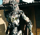 Prawn