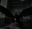 Dark Cousin