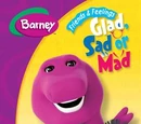 Friends and Feelings: Glad, Sad or Mad