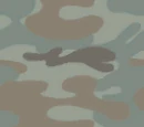 Woodland Camouflage