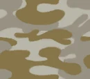 Desert Camouflage