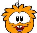 Pete