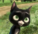 Mittens