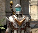 Ser Isaac armor set