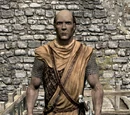 Commander Caius