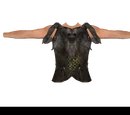Savior's Hide (Oblivion)