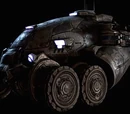 Armadillo