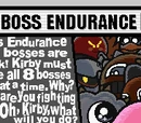Boss Endurance