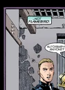 Flamebird 004.jpg