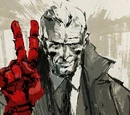 Peace Walker Incident