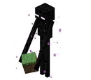 Enderman