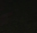 Hara-Kiri