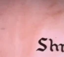 Shrinkel and Stretchel