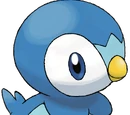 Piplup