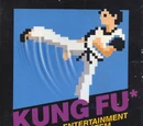 Kung Fu