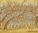 Fields of Asphodel