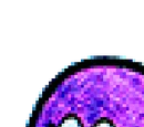 Sue