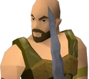Haakon the Champion