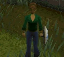 Falador Tasks