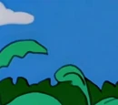 Tomacco