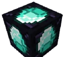 Duplicator