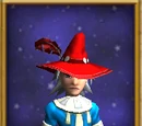 Elegant Hat