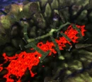 Deathwing's Fall