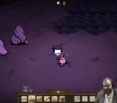 Don't Starve