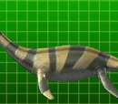 Muraenosaurus